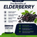Elderberry supplement benefits infographic for immune system support, antioxidants and overall wellness
